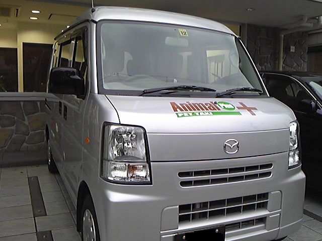 �y�b�g�^�N�V�[