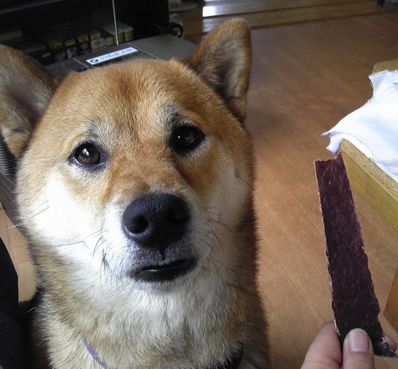 ���˂���