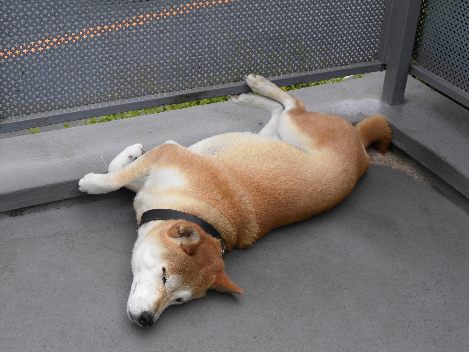 �����b�N�X��������Č�