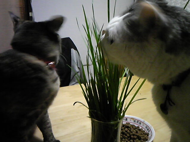 �L���͕K�v