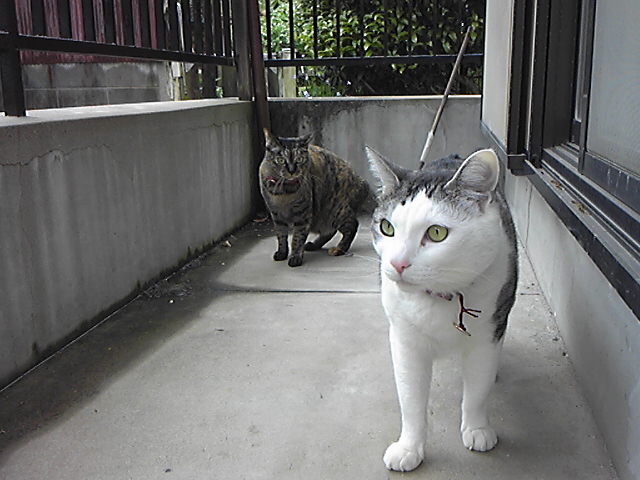 �x�����_���D��