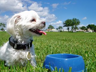 ���т̎���