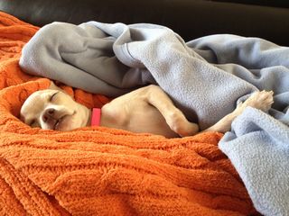 �O�b�X���`����