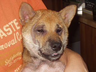 �}���Z�`�A